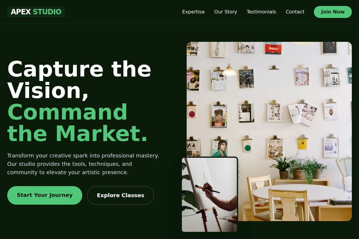 Apex Art Studio
