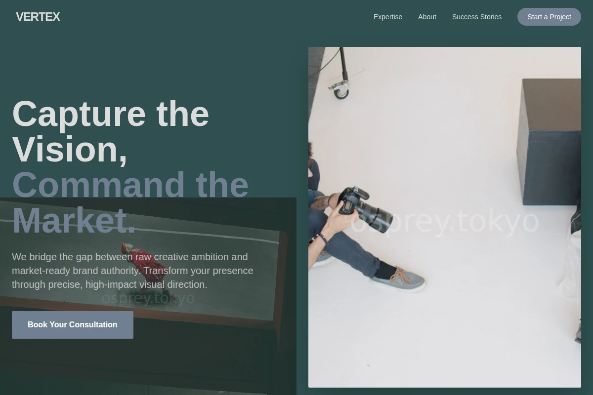 Vertex Creative Direction